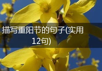 描写重阳节的句子(实用12句)