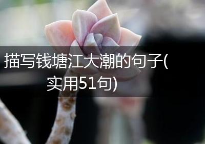 描写钱塘江大潮的句子(实用51句)
