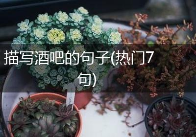 描写酒吧的句子(热门7句)