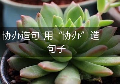 协办造句_用“协办”造句子