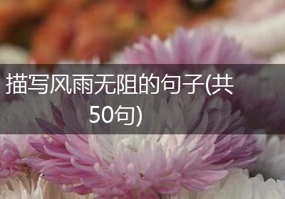 描写风雨无阻的句子(共50句)