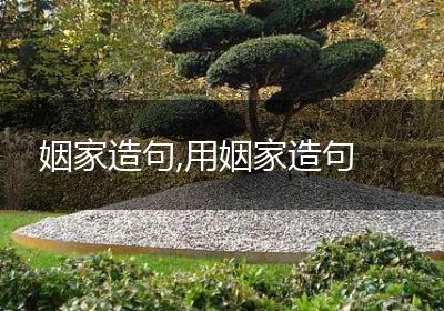 姻家造句,用姻家造句