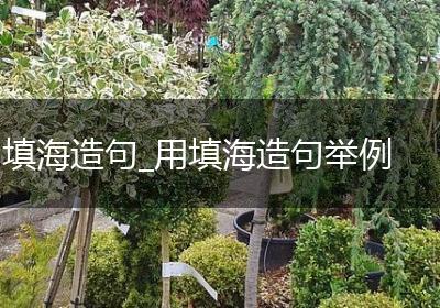 填海造句_用填海造句举例