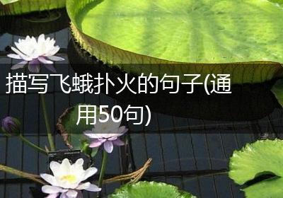 描写飞蛾扑火的句子(通用50句)