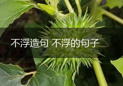 不浮造句 不浮的句子