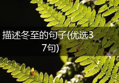 描述冬至的句子(优选37句)