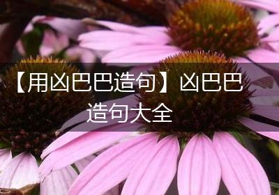 【用凶巴巴造句】凶巴巴造句大全