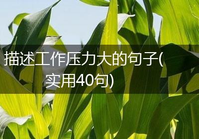 描述工作压力大的句子(实用40句)
