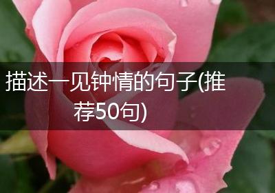 描述一见钟情的句子(推荐50句)