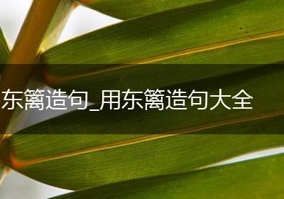 东篱造句_用东篱造句大全