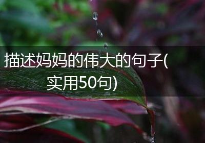 描述妈妈的伟大的句子(实用50句)