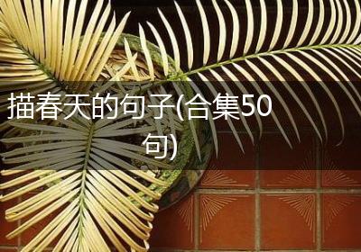 描春天的句子(合集50句)