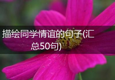 描绘同学情谊的句子(汇总50句)