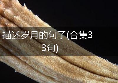 描述岁月的句子(合集33句)