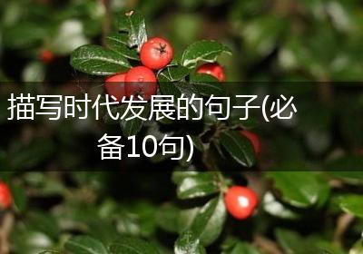 描写时代发展的句子(必备10句)
