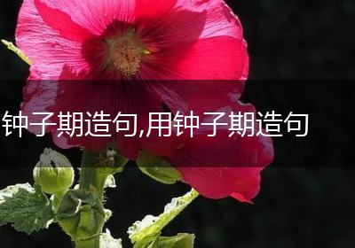 钟子期造句,用钟子期造句