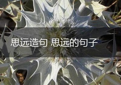 思远造句 思远的句子