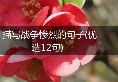描写战争惨烈的句子(优选12句)