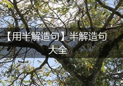 【用半解造句】半解造句大全