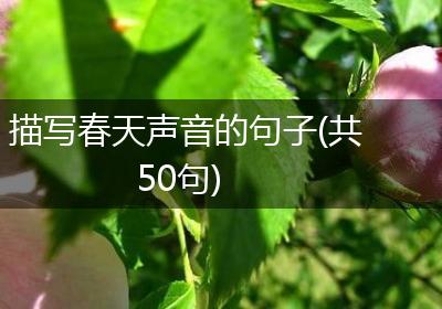 描写春天声音的句子(共50句)
