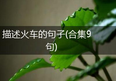 描述火车的句子(合集9句)