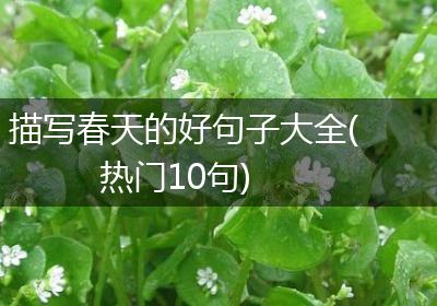 描写春天的好句子大全(热门10句)
