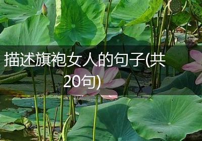 描述旗袍女人的句子(共20句)