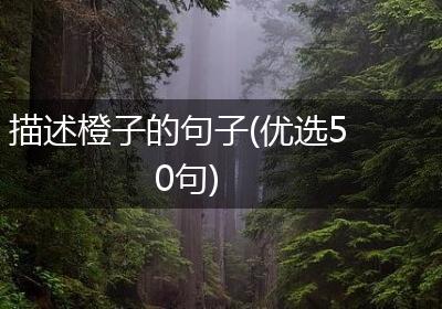 描述橙子的句子(优选50句)