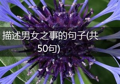 描述男女之事的句子(共50句)