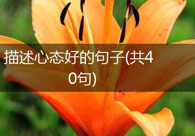 描述心态好的句子(共40句)