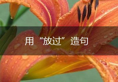 用“放过”造句
