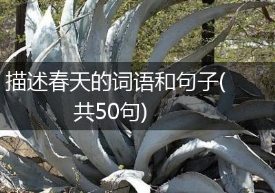 描述春天的词语和句子(共50句)