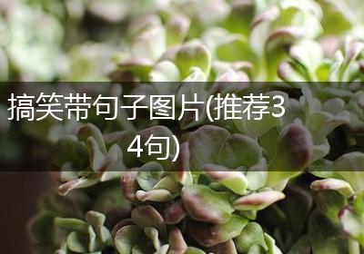 搞笑带句子图片(推荐34句)