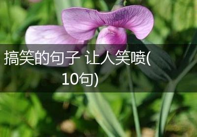 搞笑的句子 让人笑喷(10句)