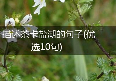 描述茶卡盐湖的句子(优选10句)