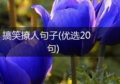 搞笑撩人句子(优选20句)