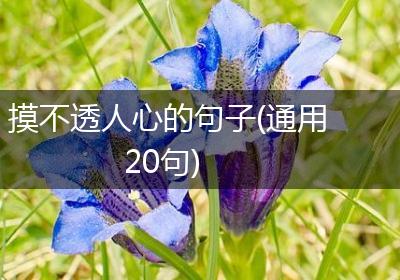 摸不透人心的句子(通用20句)