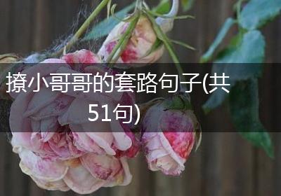 撩小哥哥的套路句子(共51句)