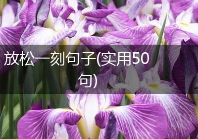 放松一刻句子(实用50句)