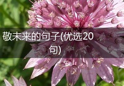 敬未来的句子(优选20句)