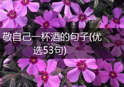敬自己一杯酒的句子(优选53句)