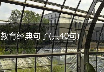 教育经典句子(共40句)
