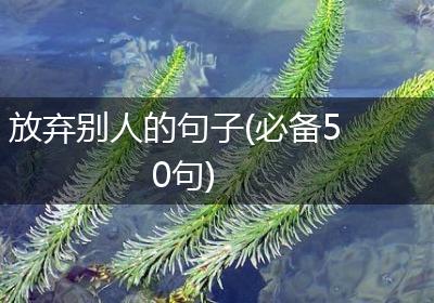 放弃别人的句子(必备50句)