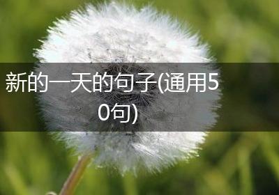 新的一天的句子(通用50句)