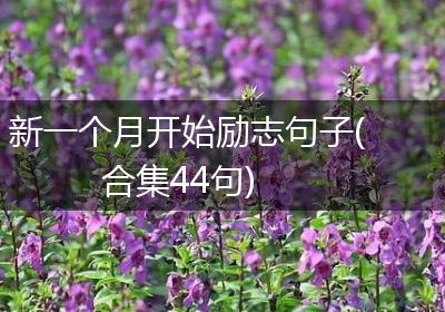 新一个月开始励志句子(合集44句)