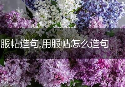 服帖造句,用服帖怎么造句