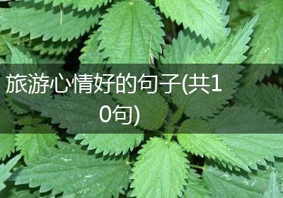 旅游心情好的句子(共10句)