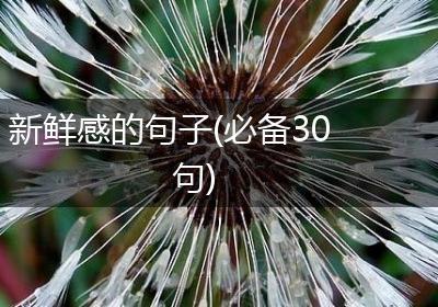新鲜感的句子(必备30句)