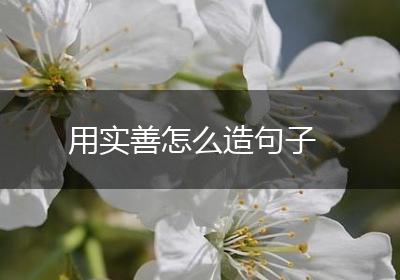 用实善怎么造句子