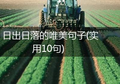 日出日落的唯美句子(实用10句)